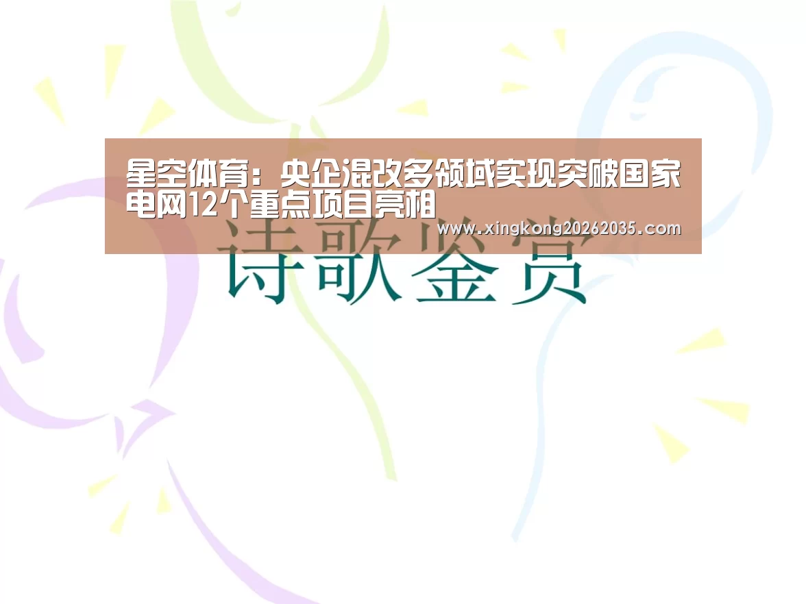 星空体育:央企混改多领域实现突破国家电网12个重点项目亮相(图3) 星空百家乐