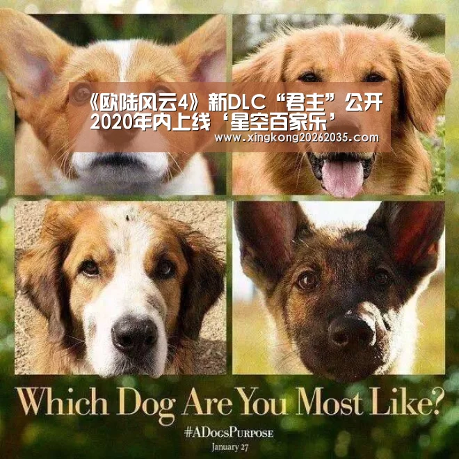 星空体育